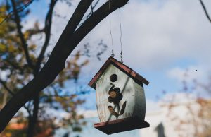 Immobilier : Vendre à l’automne