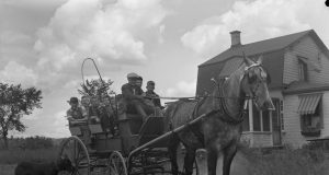 Album souvenir : L’élevage de chevaux pur sang à Val-David