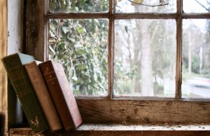 Coup de plume – L’avarcidate de Dalma