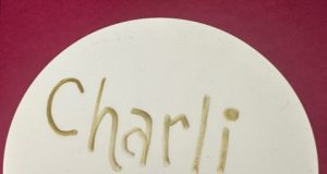 DIALOGUE avec Charli IA (1)