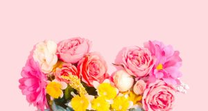 Coup de plume : Écrire au je