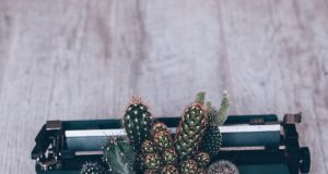 Coup de plume – L’anti-légume de l’imagination