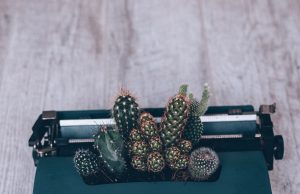 Coup de plume – L’anti-légume de l’imagination