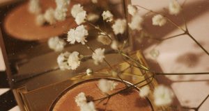 Santé et beauté : Beauté propre vs beauté verte