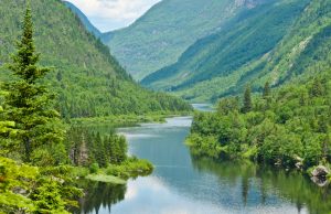 Environnement – Se réconcilier avec la nature: le contrat