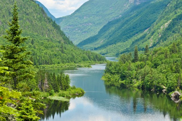 nature