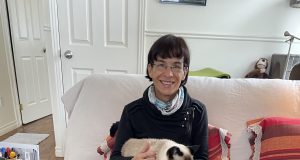 Quel bon vent vous amène? no 6