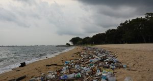 L’importance de passer au bioplastique