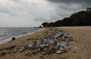L’importance de passer au bioplastique