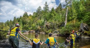 Quand la nature devient une salle de classe