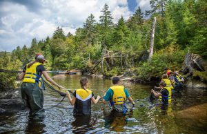 Quand la nature devient une salle de classe