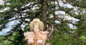 La parole est à vous – Quand l’art va bien au-delà de la culture