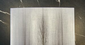 À livre ouvert – Les terres indomptées