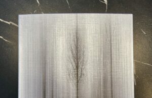 À livre ouvert – Les terres indomptées