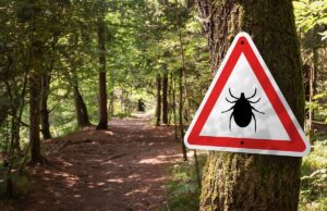 Élargissement de la zone à risque de contracter la maladie de Lyme vers le nord de la région des Laurentides