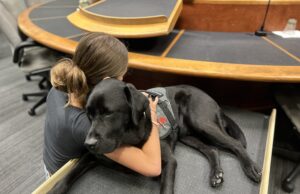 Stan, chien d’assistance à la DPJ des Laurentides