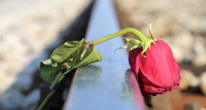 Famille : Quand s’aimer se conjugue au passé. Deuxième partie – Le divorce avec non-consentement des parties