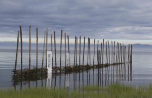 Coups de cœur artistiques de Marie – Septembre 2025