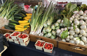 En flânant dans Val-David…