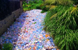 Environnement – Choisir entre le plastique et nous