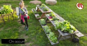 Le jardin collectif de Cultiver Val-David