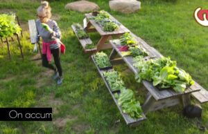 Le jardin collectif de Cultiver Val-David