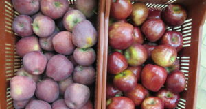 É.-U. et fiasco – Faire briller les choses