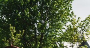 Points d’intérêt culturels: À la rencontre des Premiers Peuples