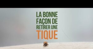Élargissement de la zone à risque de contracter la maladie de Lyme dans la région
