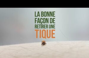 Élargissement de la zone à risque de contracter la maladie de Lyme dans la région