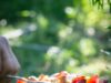 Chronique culinaire – juin
