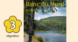 Banc du Nord: 3. Migration