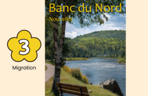 Banc du Nord: 3. Migration