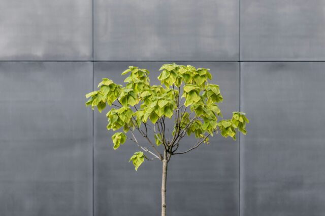 pawel-czerwinski-WLHuk5ReRDA-unsplash