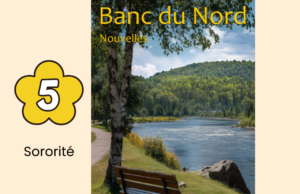 Banc du Nord: 5. Sororité