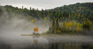 Environnement – Commencer par le commencement