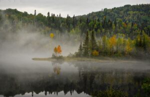 Environnement – Commencer par le commencement